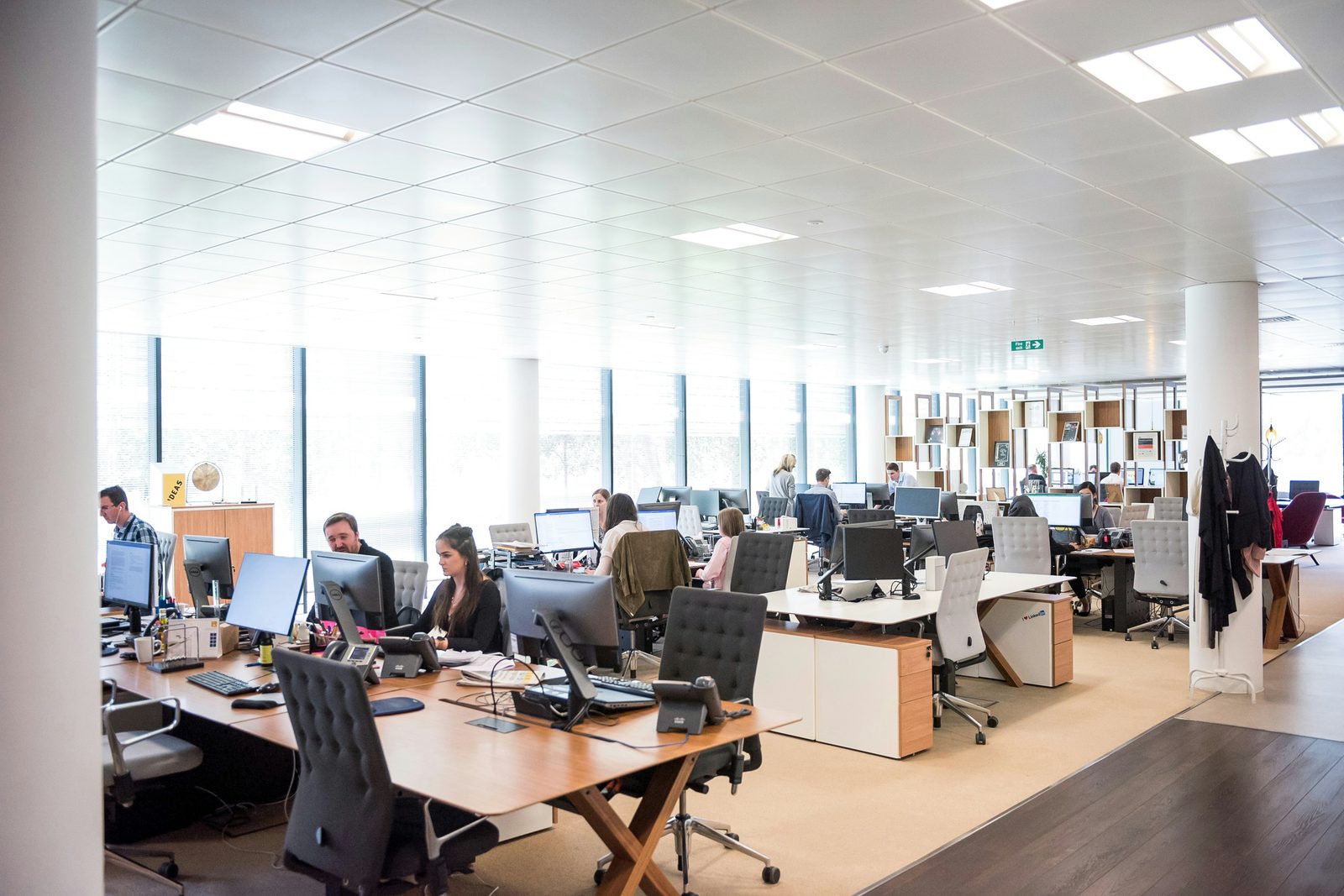 A team working together in a bright open-plan office